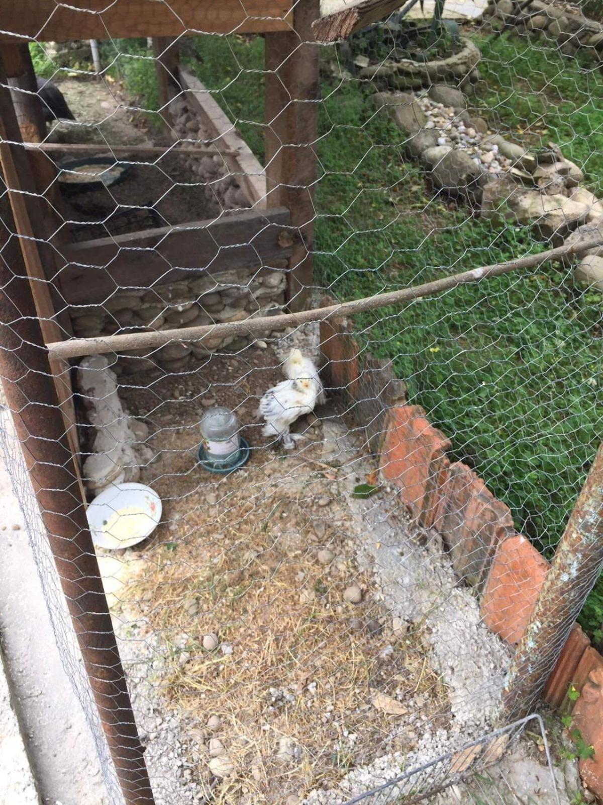 Mera Hostel Partskhanaqanevi Bagian luar foto