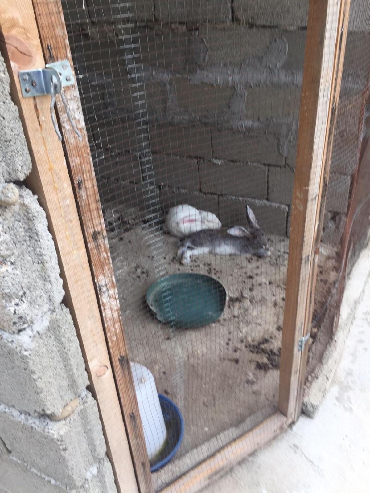Mera Hostel Partskhanaqanevi Bagian luar foto