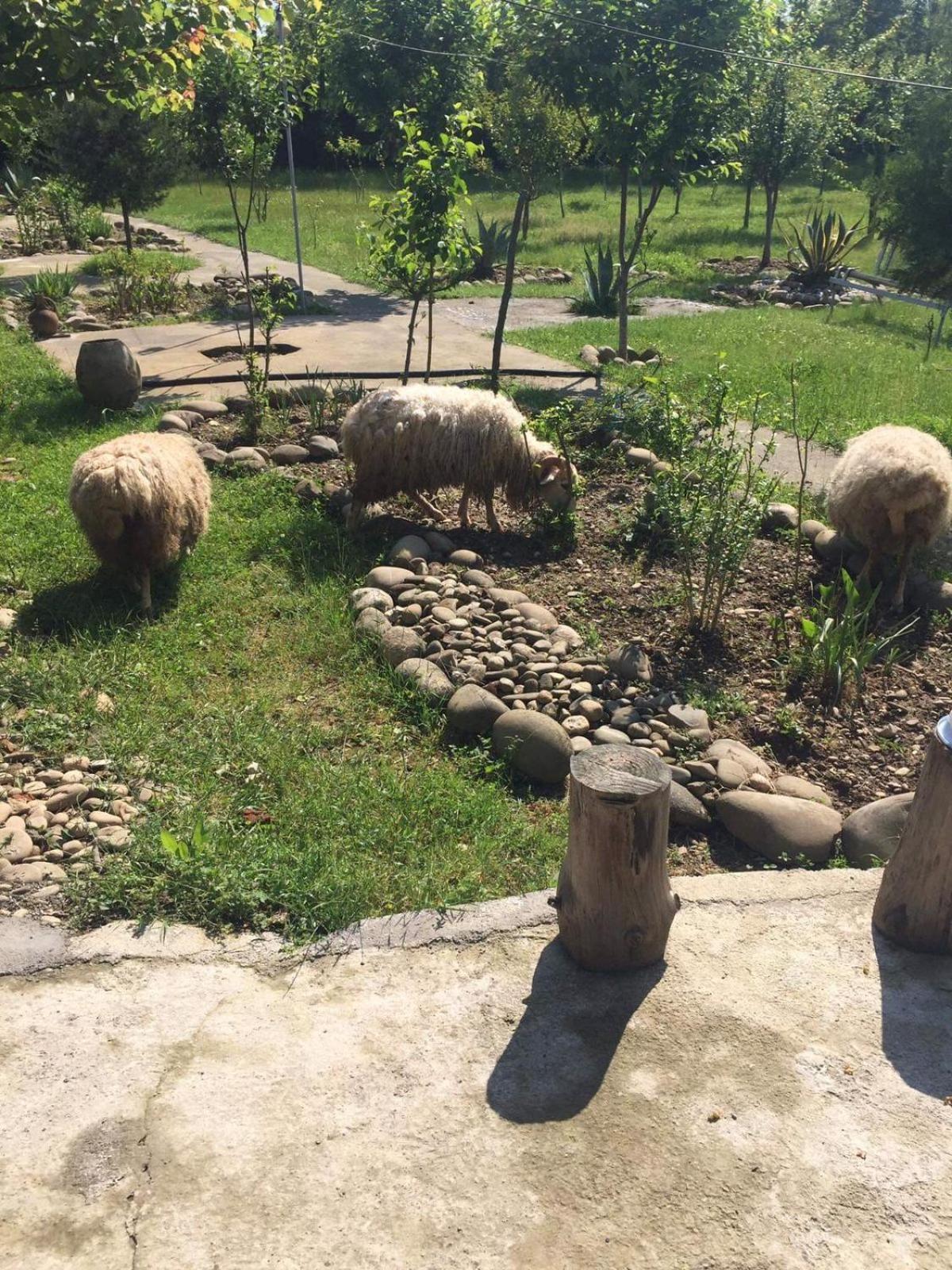 Mera Hostel Partskhanaqanevi Bagian luar foto